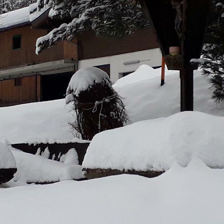 Appartement Wildkogelblick Neukirchen am Großvenediger Екстериор снимка