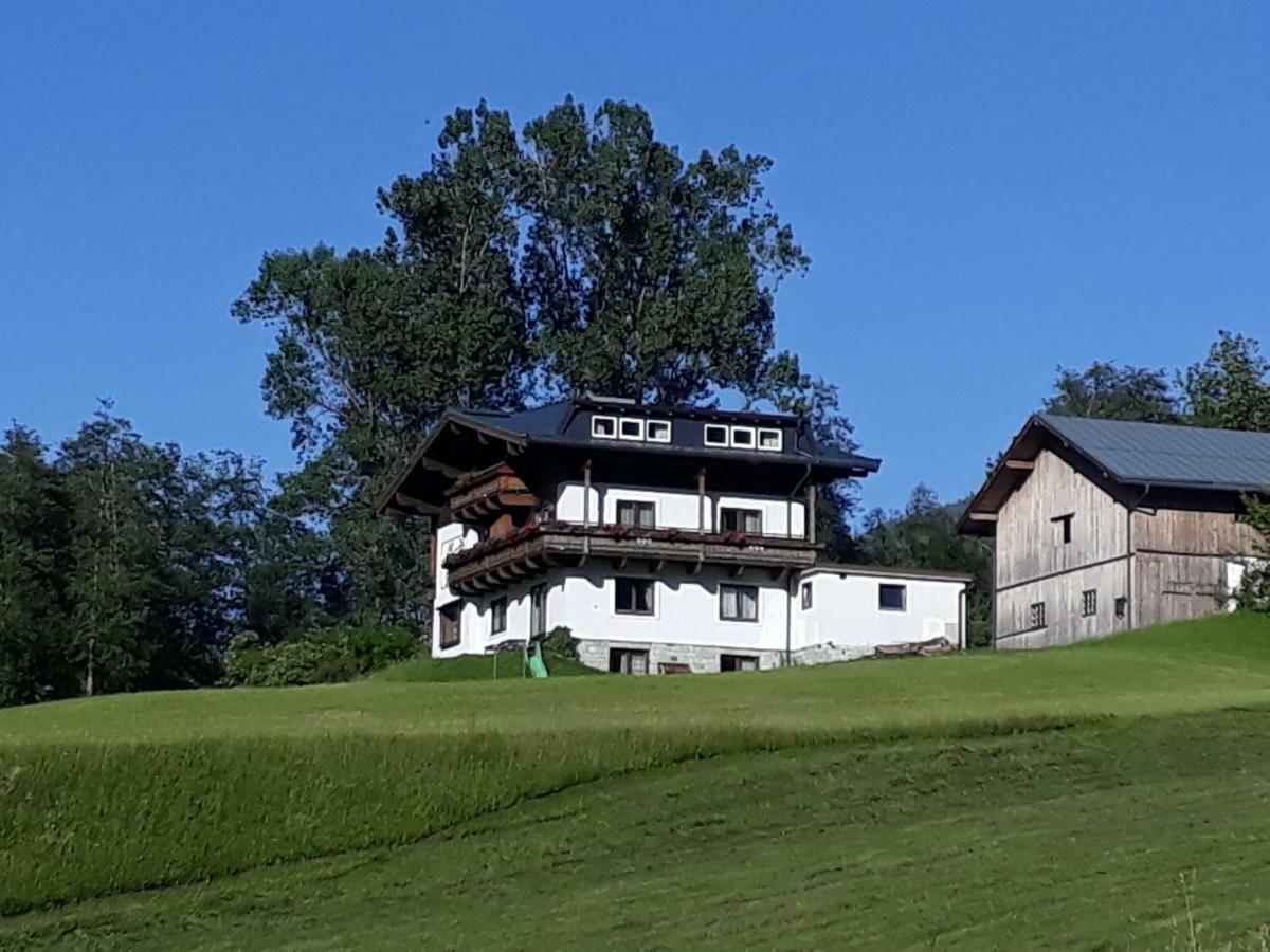 Appartement Wildkogelblick Neukirchen am Großvenediger Екстериор снимка